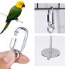 1pcs Parrot Stainless Steel Fruit Fork Toy Bird Cage Supplies Fruit Bird Feeder Pet Parrot Accessories Pet Bird Supplies