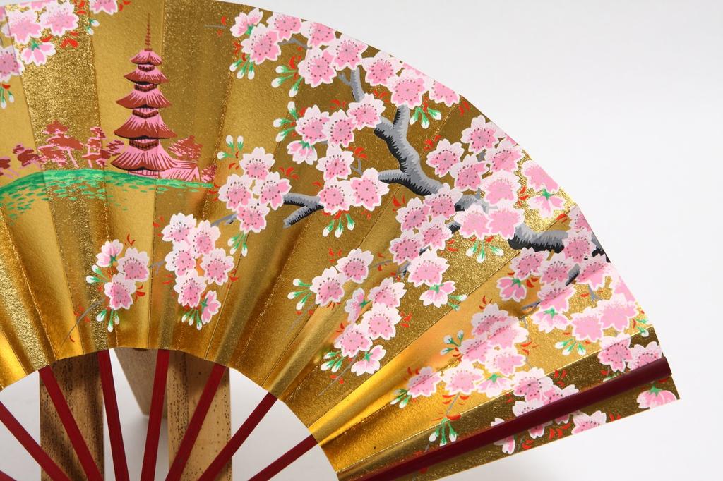 decorative with fan stand and box [Hasegawa] Kyoto-style fan, black-dyed frame, (Maiko design, 7.5 inches)