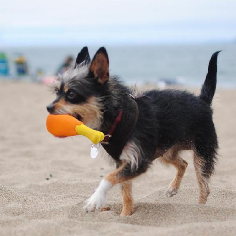 Dog Accessories Chicken Leg Puppy Toy PVC Squeaky Rubber Chicken Leg Pet Dog Toy