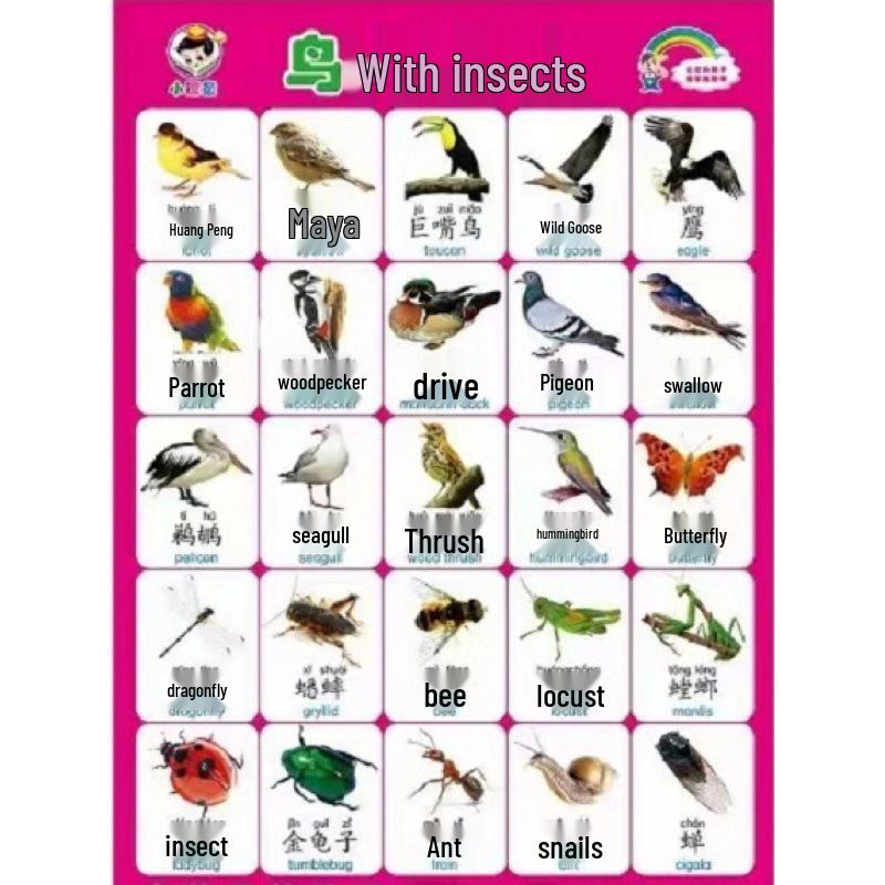 Waterproof Baby Pinyin & Character Recognition Wall Chart for Early Education