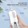 Portable Cordless Teeth Cleaning Machine Travel Oral Irrigator USB Rechargeable 3 Modes 4 Jet Tips 220ml 3 Modes Teeth Cleaner
