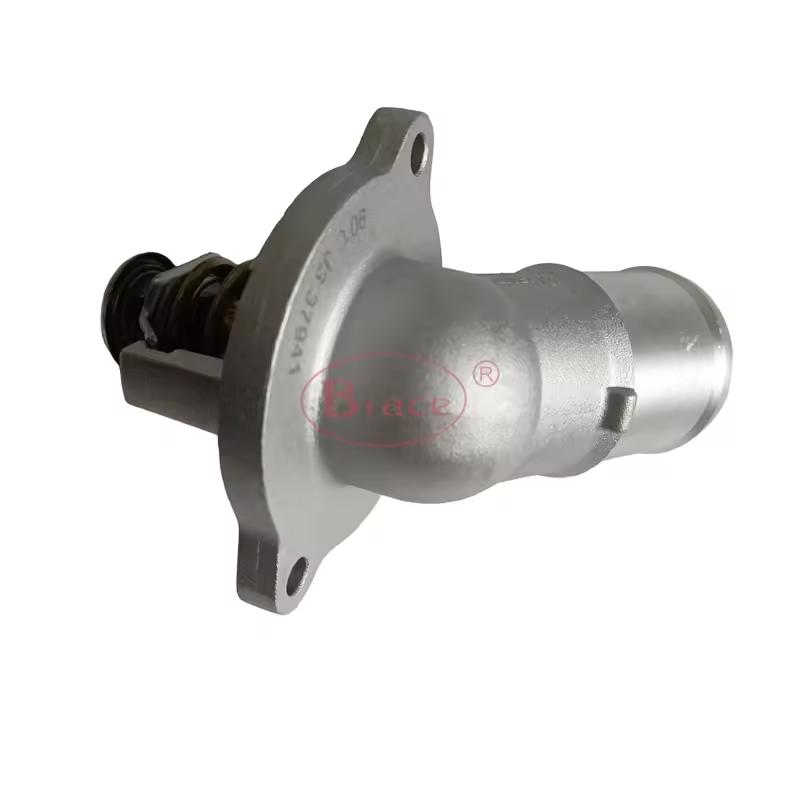 Brace Auto Parts Cooling Thermostat For Trumpchi GA8 OEM 10120202040000
