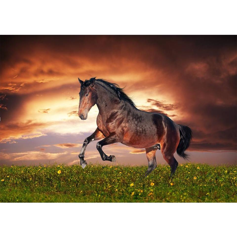 5D DIY Diamond Painting Animal Cross Stitch Kit Full Diamond Embroidery Horse Rhinestone Picture Mosaic Home Decoration Gift