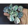 9Pcs Abalone Shell Fancy Cabochon Loose Natural Gemstone 305Cts. Lot 30-31MM C-1711