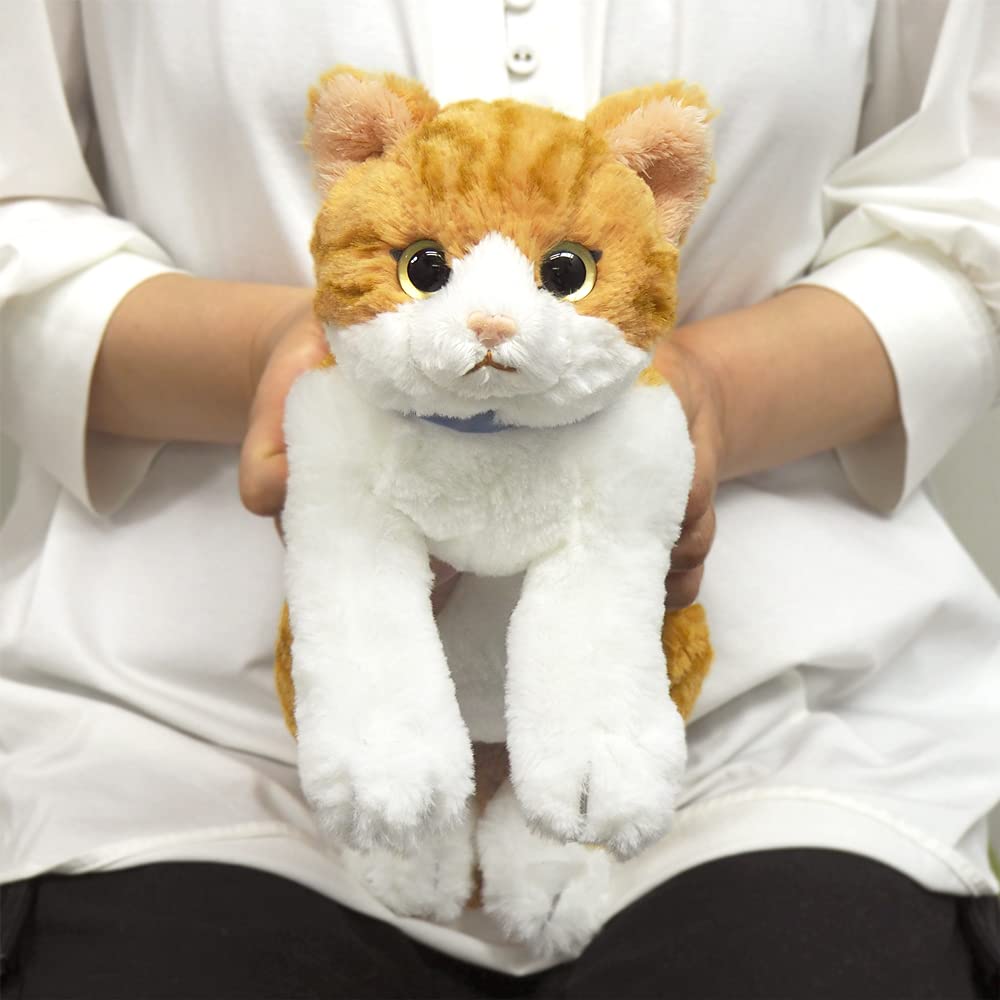 SunLemon Schoßkatze Chashiro Klein 13 x 36 x 15cm Plüschtier Niedliche Katze P-7822