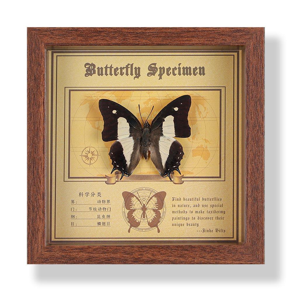 Real butterfly specimen photo frame, decorative painting, 3D ornament, handmade DIY, birthday gift, insect specimen