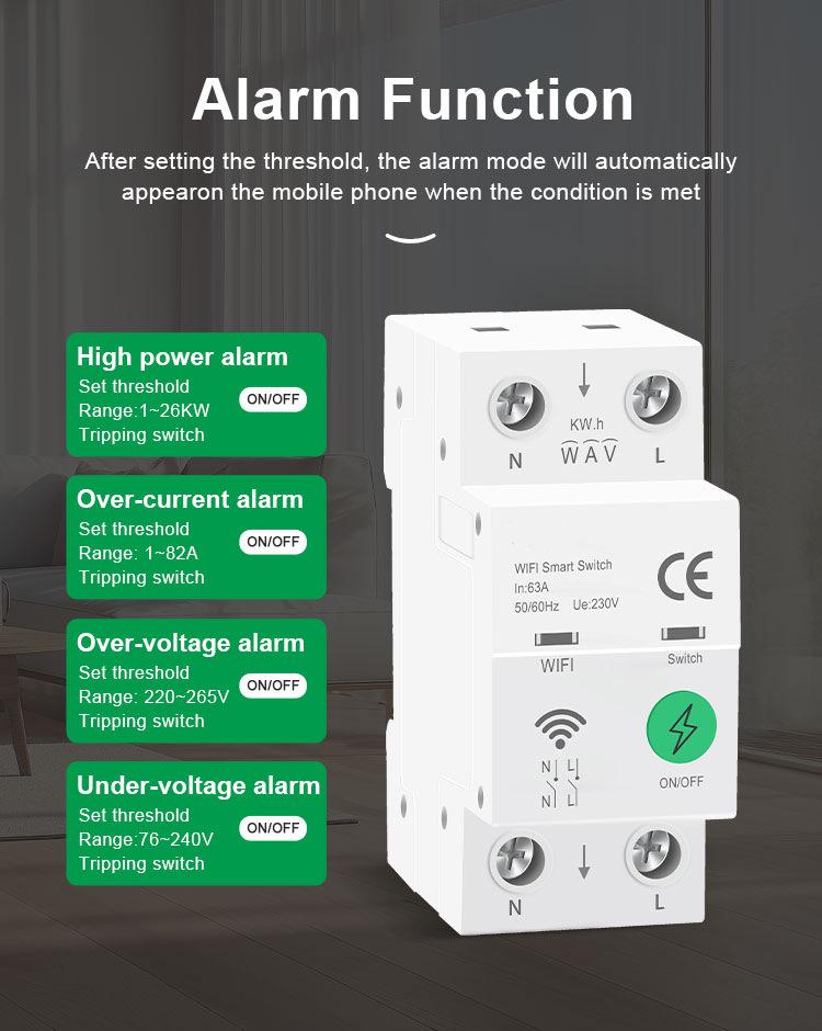 Smart WiFi Mobile Remote 2P Circuit Breaker Timer Switch