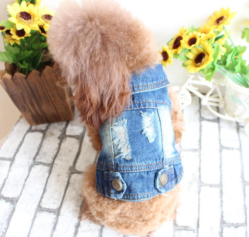 

BeiPet 2018 Ripped Denim Dog Vest for Spring/Summer - Fits Bichon and Teddy Breeds XL