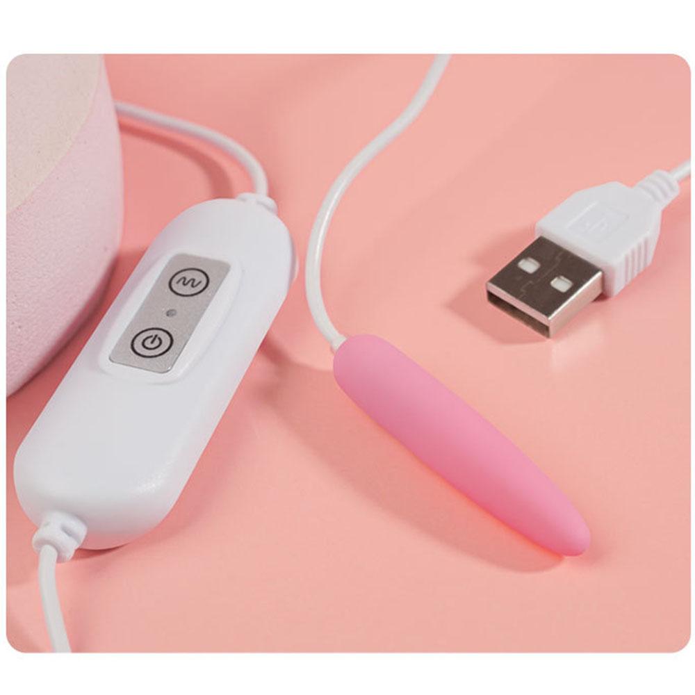 100cm Uretrální vibrátor 20 modelů Klitorální G-bod Skákací vajíčko USB napájení Vibrátor Sexuální hračka Bullet dálkové ovládání Vibrační vajíčko