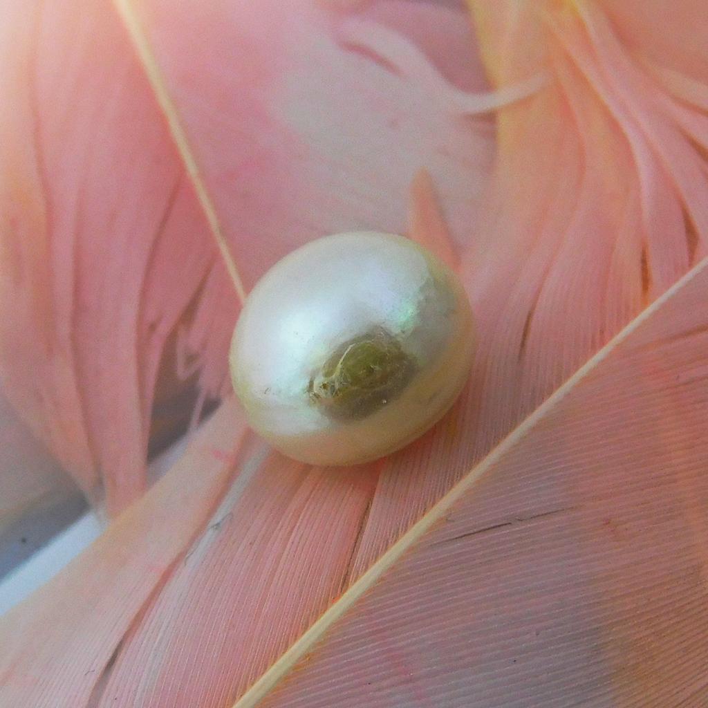 Natural White Pearl Loose Gemstone 6.75 Ct Sea Mabe Round Cut for Jewelry Making and Gem Collections