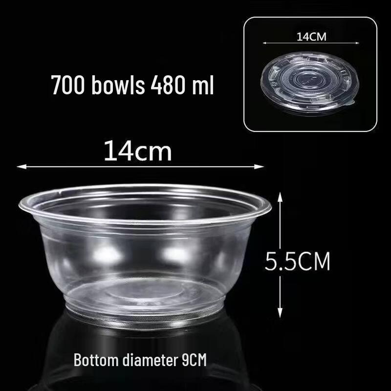 Biaoxing Disposable Bowl & Chopsticks Set