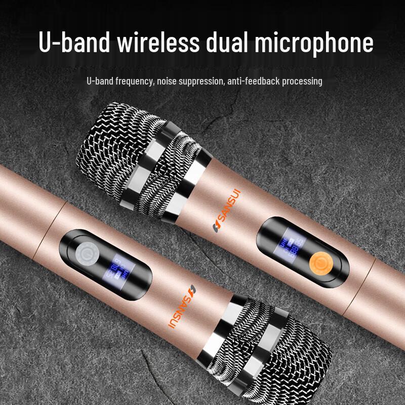 Sansui A12 12-inch Portable K-Song Trolley Speaker