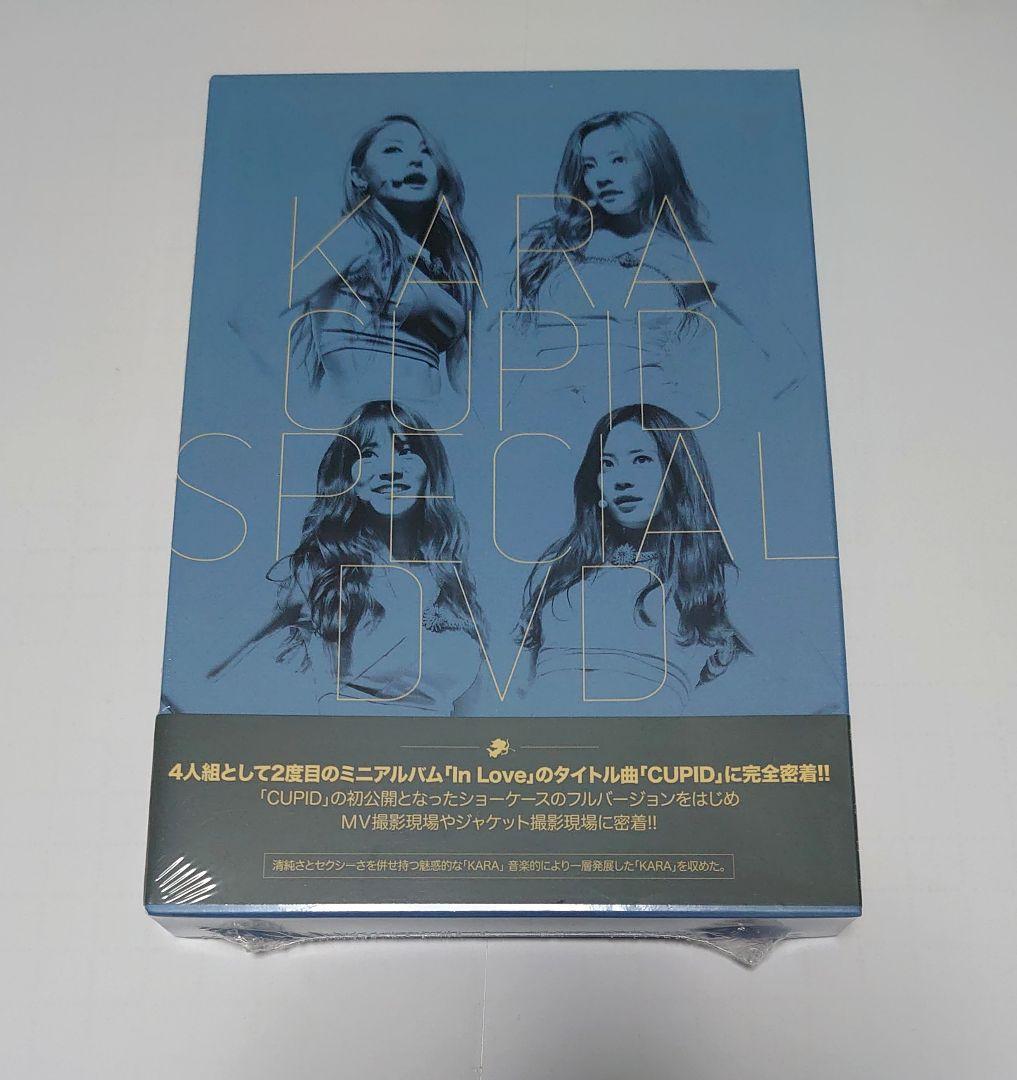 

[USED] KARA CUPID SPECIAL DVD