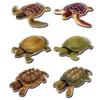 Playable Creature Figure Series Turtles of the World 1 of 6 Types Gacha Gacha Capsule Toy [Set (Full Complete)]