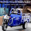 Plastic Simulation Tricycle Toy Openable Seat Inertia Driving Pull Back Truck Steerable Front Inertia Tricycle Model Kids Toys