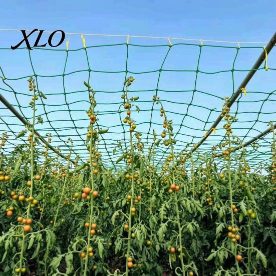 Outdoor Agricultural Climbing Support Trellis Netting for Plants, Heavy Duty Plastic Garden Square Mesh Morning Glory Netting, Plant Net Cucumbers