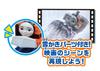 Takara Tomy Thomas the Tank Engine Thomas Nia Ace and Adventure Set & GO!GO!