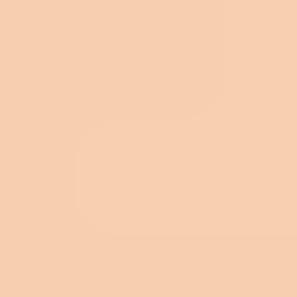 Clio Kill Cover Mesh Glow Essential Cushion — Dewy Glow Cushion Set SPF50+ PA++++ (15g × 2)