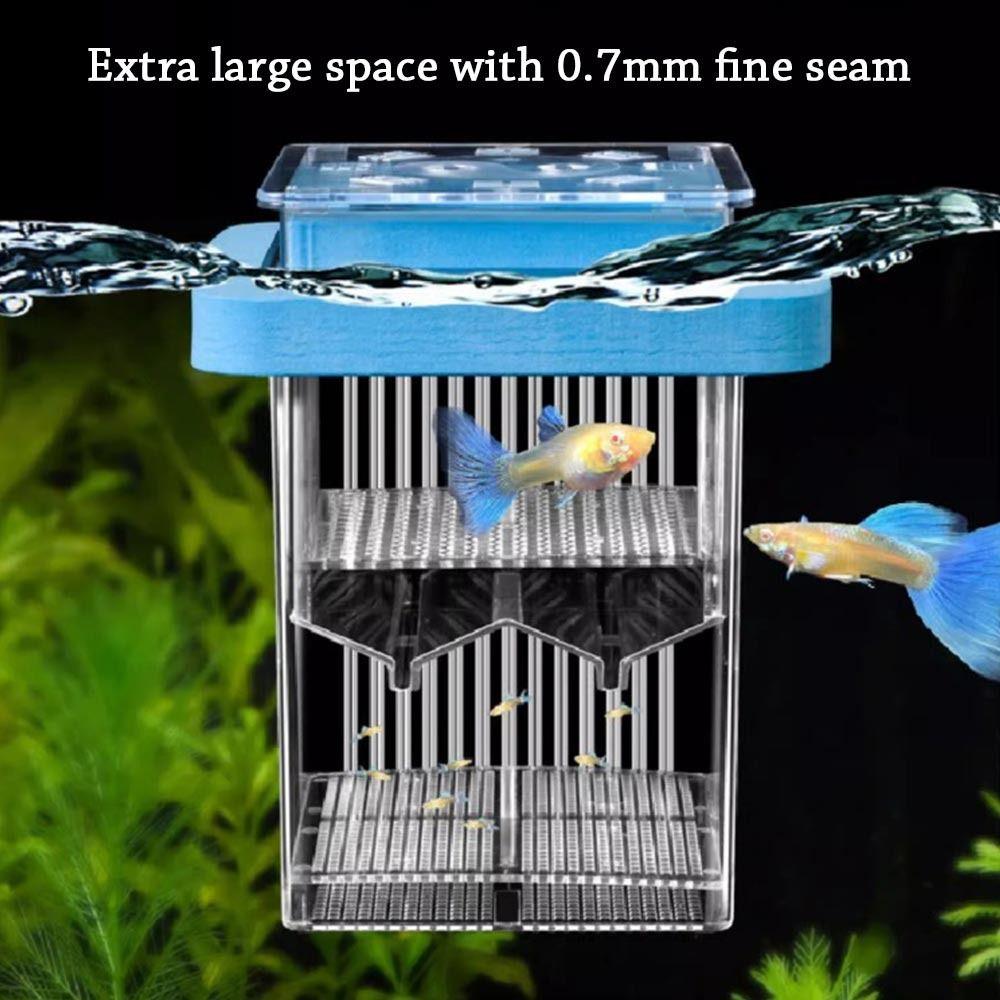 Transparent Fish Breeder Box Clear Frame Floating Hatching Box Aquarium Hatchery Accessory