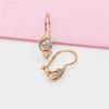 Exquisite Purple Gold Inlaid Zircon Earrings Simple Light Luxury Russian 585 Rose Gold Plated Fashion Colored Gold Earrings