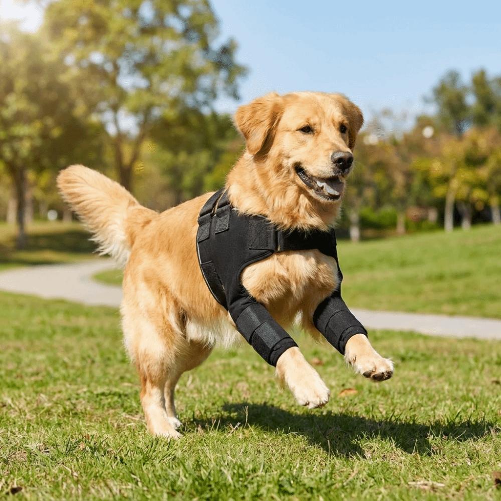 Adjustable Dog Shoulder Brace Self-Heating Dog Joint Protection Sleeve Walking