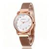 Milan Mesh Magnetic Ladies Watch with Luminous Hands
