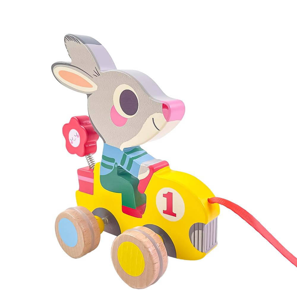 DJECO Pull Along Toy a Raccoon Rabbit Toy for Walking Suitable for Ages 1 18 2 and A Great Gift for Sports or Any Autumn - Roulapic, Practice, Year,