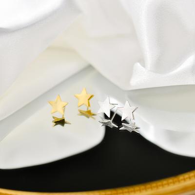 Brushed Star Earrings Simple and Versatile Earrings Women's Fresh Style
