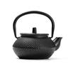 300ml Cast Iron Teapot, Stainless Steel Infuser, Oolong Tea Kettle