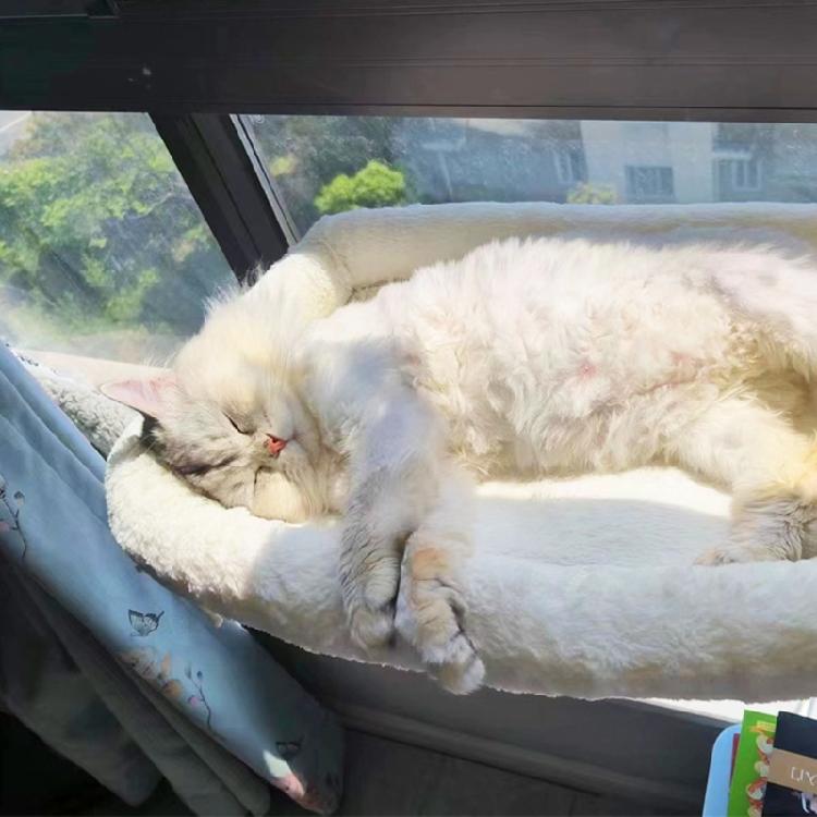 Window Mounted Cat Perch Cute Soft Cat Bed Window Shelf Hammock Window