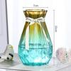 European-Style Hydroponic Pothos Vase with Dried Flowers for Living Room Decor