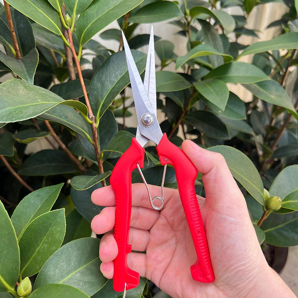 Stainless Steel Fruit Harvesting Shears Pruning Scissors for Orchards Branches Bonsai & Vegetable Fruit Thinning