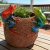 Rustic Pastoral Double Frog Resin Flower Pot, Outdoor Garden Decor Planter for Succulents and Small Plants, 2 Colors