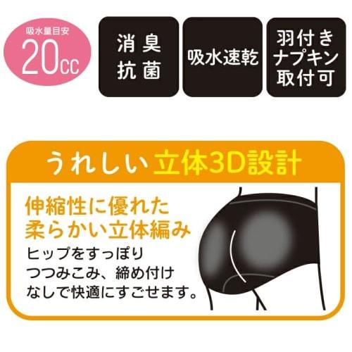 Premier Secret Care Absorbent Panties, 20cc Absorption Capacity, Compatible with Winged Pads, Adults/Women, TH22A-1S (JP, Alphabet, LL, 3L, Regular, B