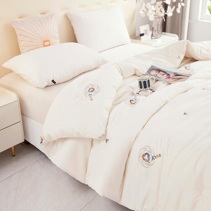 Tangna 3A Antibacterial Warm Fiber Quilt