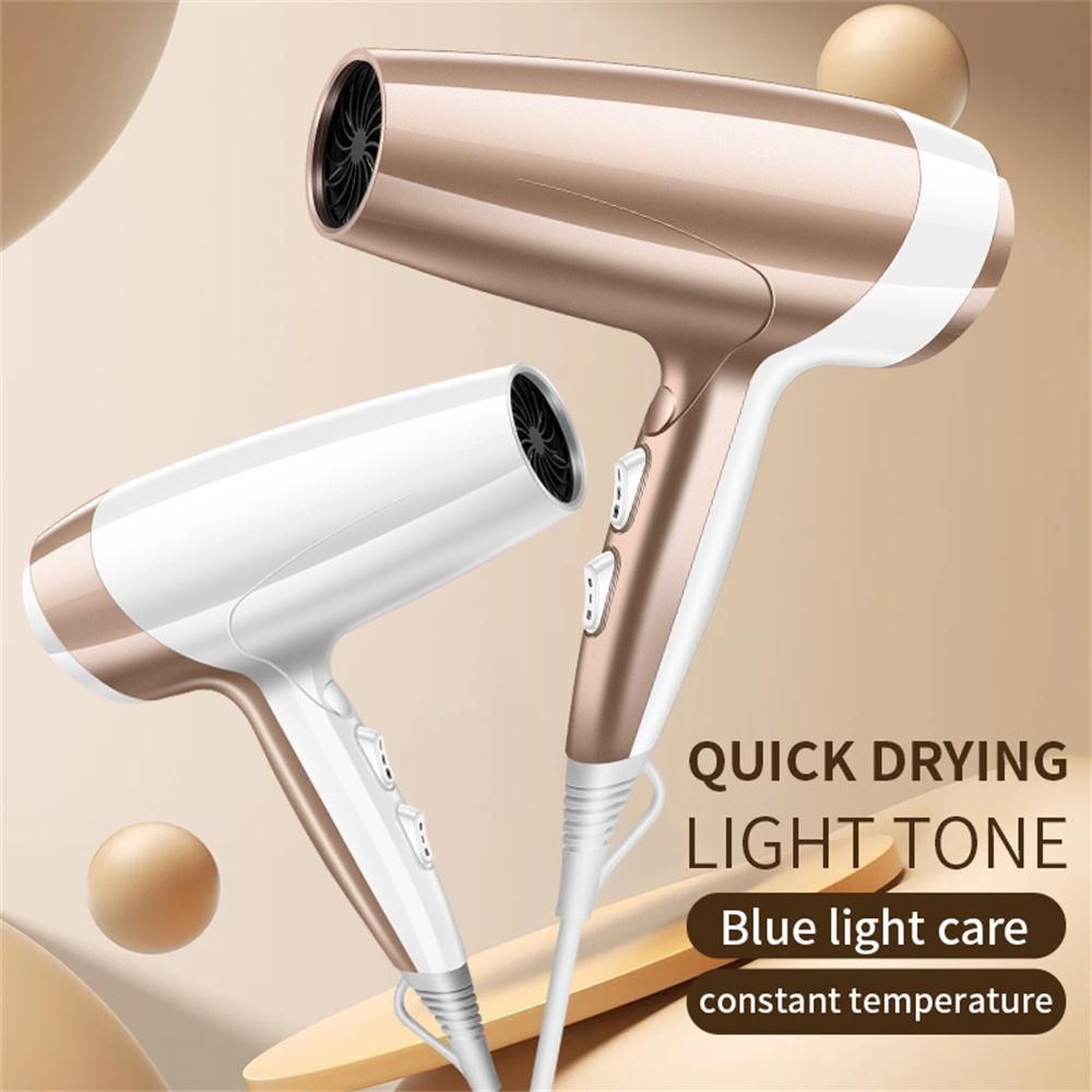 2000W High Power Hair Dryer Blue Light Care Negative Ion Quick Drying Hair Styling Tool,EU Plug
