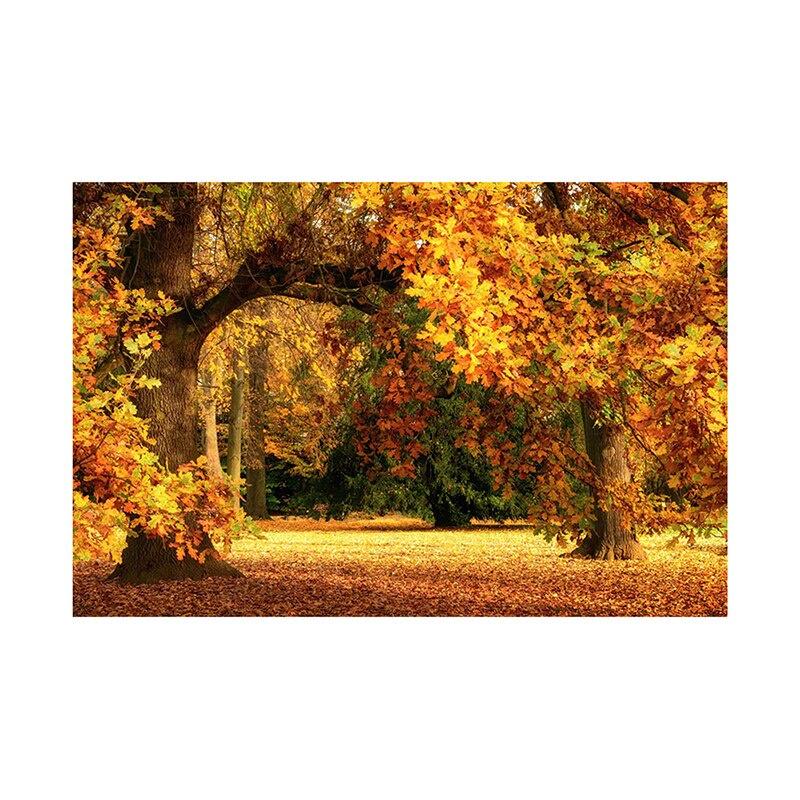 

Ткань-фон на тему осенних листьев, Многоцелевой декор для, Фон для фотостудии, для комнаты, сада, патио, домашнего декора 100x150cm /3*5ft