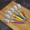 Laguiole 6 Large Spoons Set Multipurpose Plastic Handle Spoon Set for Dessert Stainless Steel Western Food Cutlery
