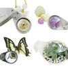 40X Magnifying Glass with LED UV Illumination Optical Glass Lens Metal Body for Gemstone Identification and PCB Inspection
