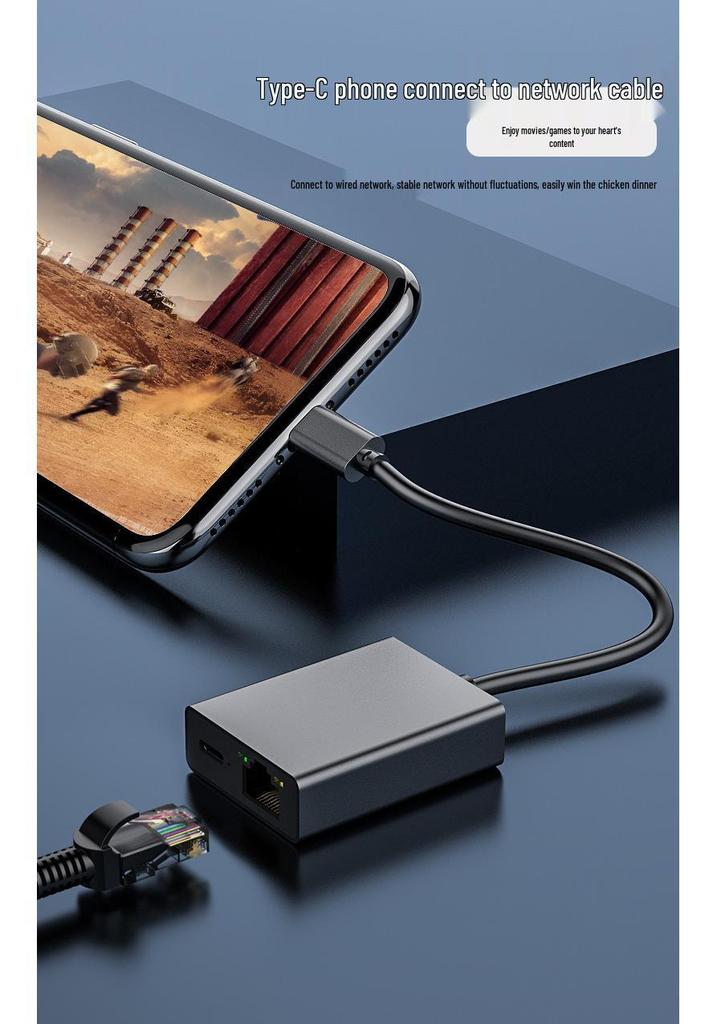 Type-C 2-in-1 Docking Station with PD100W, Gigabit Ethernet, and 100Mbps Ethernet Port