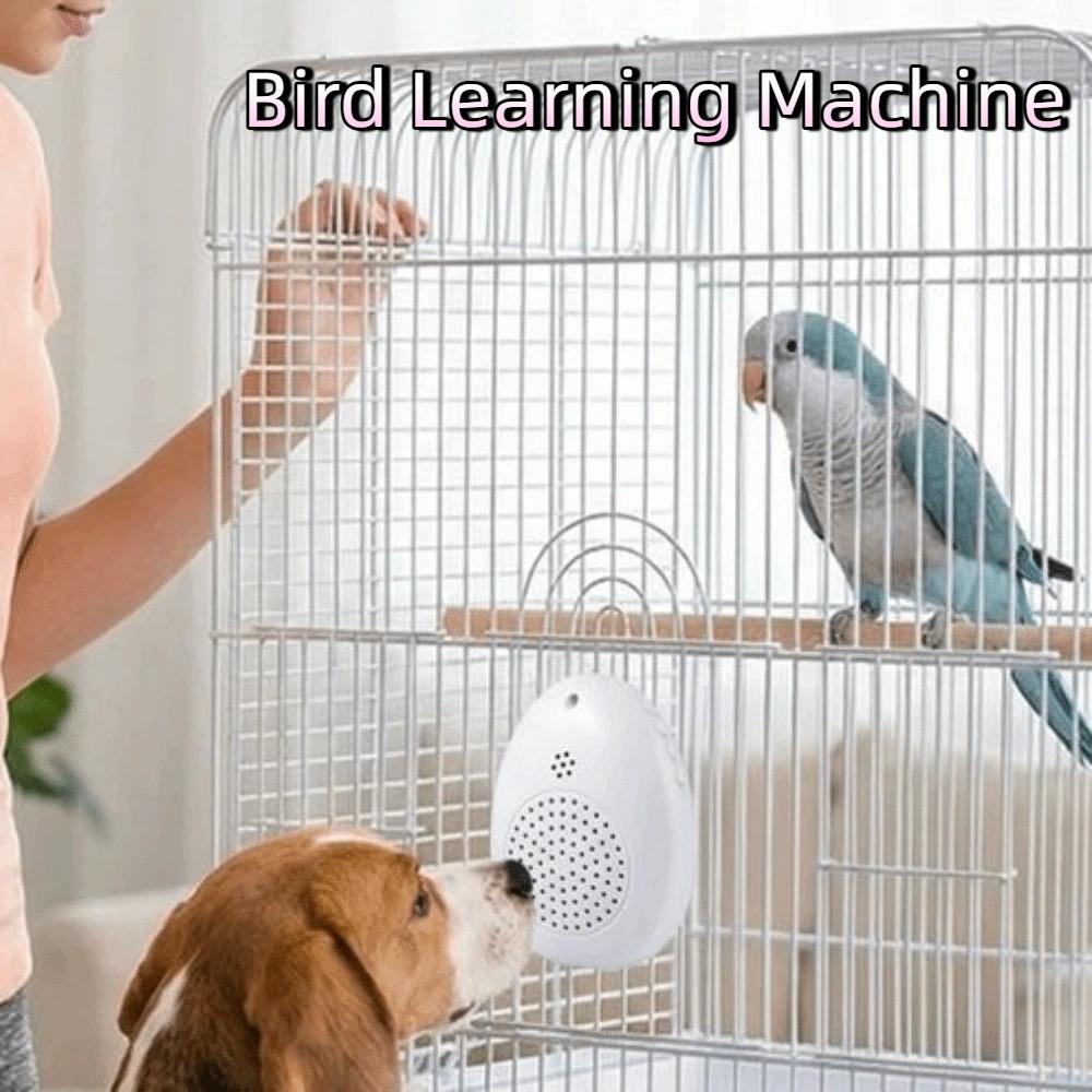 Playback Parrot Teach Talking Recording Bird Repeater Portable Bird Learning Machine  Bird Training