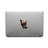 1PC 2D Flat Stickers Bear Animal Creativity Car Stickers Luggage Refrigerator Wall Stickers Laptop Toilet Stickers