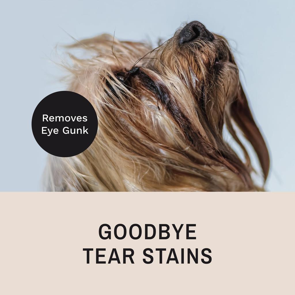 Eye Envy Tear Stain Remover Face Comb for Dogs and Comb with 80 Rounded Pins Gently Remove Crusty Eye Gunk and Boogers Keep The Beard and Face Tangle