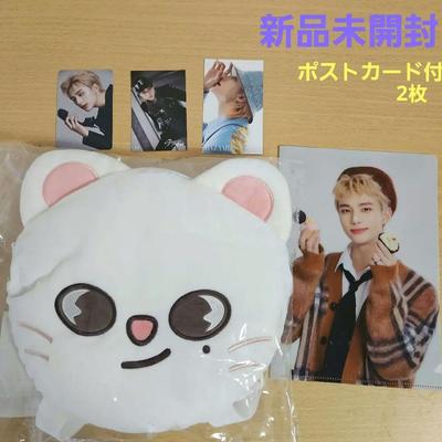 [USED] Stray Kids Genielet Backpack File Trading Card Postcard 3
