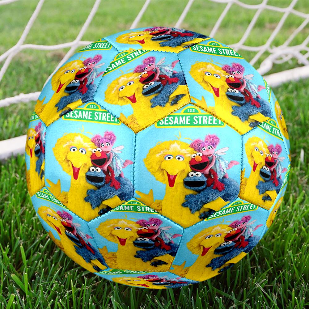 Sesame Street Theme Size 5 Soccer Ball, Suitable for Both Indoor and Outdoor Matches, a Gift Suitable for Everyone.