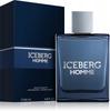Iceberg Homme Eau De Toilette Voor Mannen 100