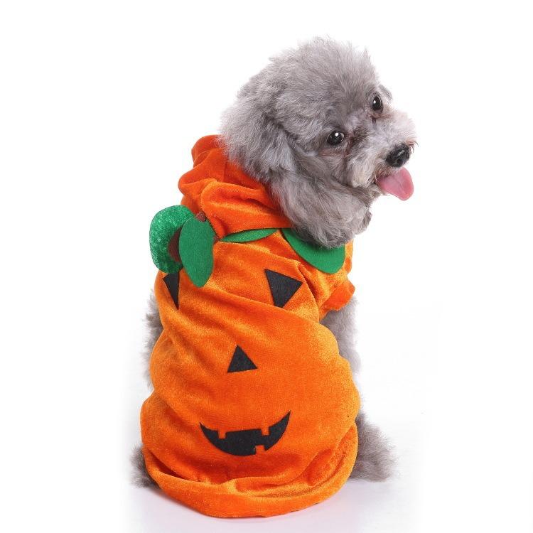 Pet Witch Halloween Costume Dog Cat Witch Bat Pumpkin Cosplay Outfit Holiday Party Fancy Dress‑Up Clothes For Cute Puppy Kitten