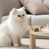 Cute Cat Teaser Toys Shake Movement Plush Mouse Indoor Boredom Relief Toys for Cat Funny Pet Interactive Toys