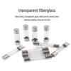 KAIYUANDA 6x30mm 1A Glass Fuse Tubes