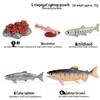Mini Animal Growth Cycle Toys: Butterfly, Rooster, Ant, Frog, Sea Turtle, Dragonfly